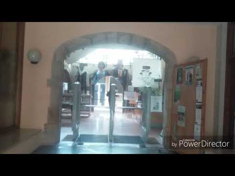 Gegants i Ratpenat de Malgrat de Mar (exposats)