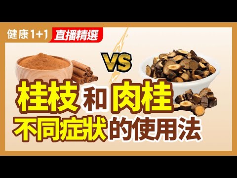 桂枝樹