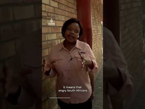 Violence against foreign-owned shops in South Africa