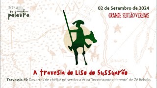 Projeto Rosa da Palavra: A travessia do Liso do Sussuarão. Travessia #5  02 de setembro de 2024