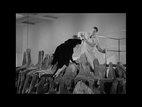 Bringing Up Baby (1938) - final