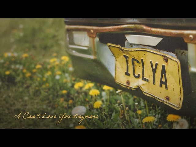 I Can't Love You Anymore — Official Video