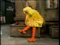 0390 Big Bird Gets A Splinter