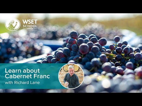 Learn about Cabernet Franc with Richard Lane DipWSET