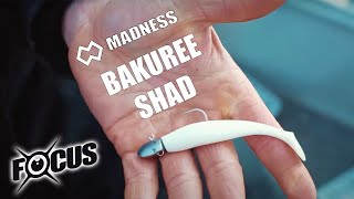 Miniature de la vidéo Leurres Madness Bakuree Shad