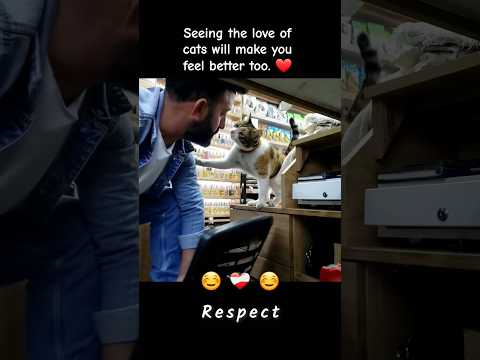 Seeing the love of cats will make you feel better too. ❤️ #cats #lovers #Amazing #viral #ytshorts