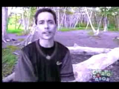 son by four sin tu amor