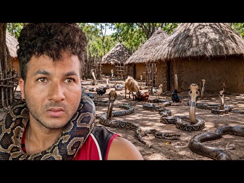 Africa’s snake village 🇬🇭 ऐसा गांव जहाँ साँपों के साथ रहते हैं लोग In Ghana