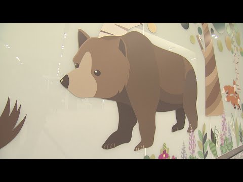 parterre-vivaces-surélevé-cadre-bois-acier-espèces-plantes