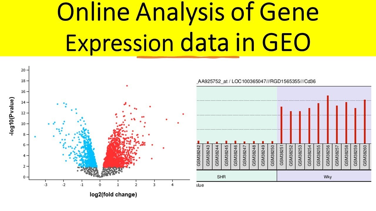 How to Analyze Gene Expression Data Online | GEO2R| Gene Expression Omnibus |
