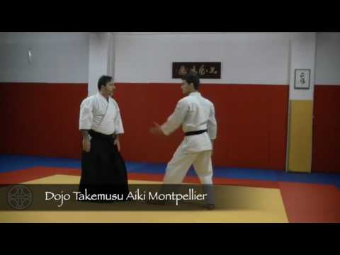 Techniques en Ushiro Ryo Katadori