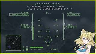 PS5版ACE COMBAT ZERO #2 プレイヤー：新井山リナ