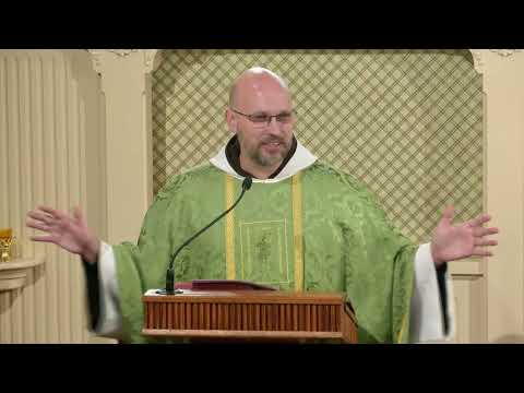 Readings and Homily - 2026-02-13 - Fr. John Paul