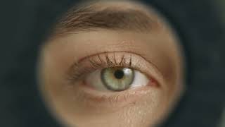 Stradivarius THE COLLECTIVE 2026 | Experiential Project Launch Trailer