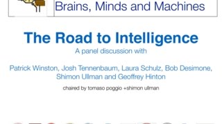 The Road to Intelligence