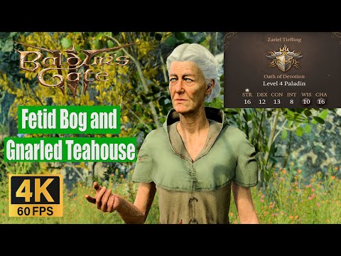 Baldur's Gate 3 Walkthrough Fetid Bog and Gnarled Teahouse