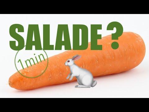 Salade de Carottes Râpées - Maison