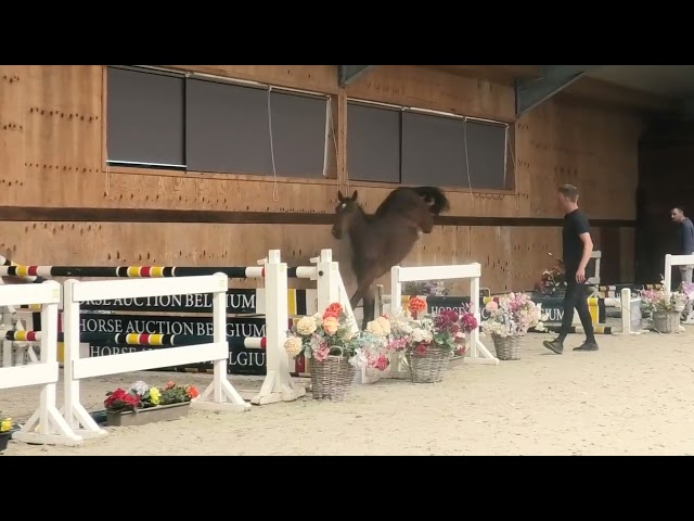 jumping