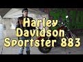 [Докатились!] Harley Davidson Sportster 883. Банка шпрот ...