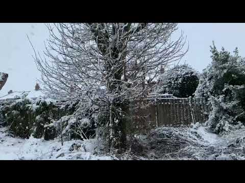 Visit Cookridge | This Winter