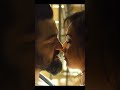 Rakul Preet Singh And Junior Ntr Kissing Part1 Bollywood Kiss Kissing Movie Love