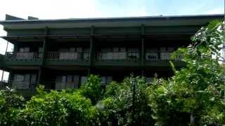 Bee Farm Bohol