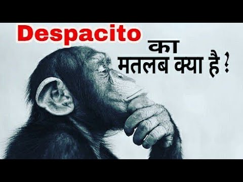 download lagu mp3 mp4 Despacito Word Meaning In Hindi, download lagu Despacito Word Meaning In Hindi gratis, unduh video klip Despacito Word Meaning In Hindi