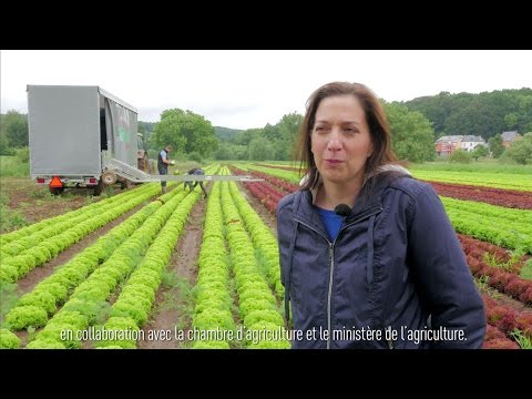 Sou schmaacht Lëtzebuerg