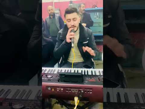 TAHİR TÜRKOĞLU - CEYLAN BU DAĞLARIN MARALIYDIN SEN #2023