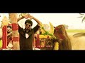 Pongal Jallikattu Video Jallikattu Jallikattu