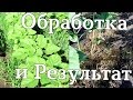 Гербицид Арамо 10 л