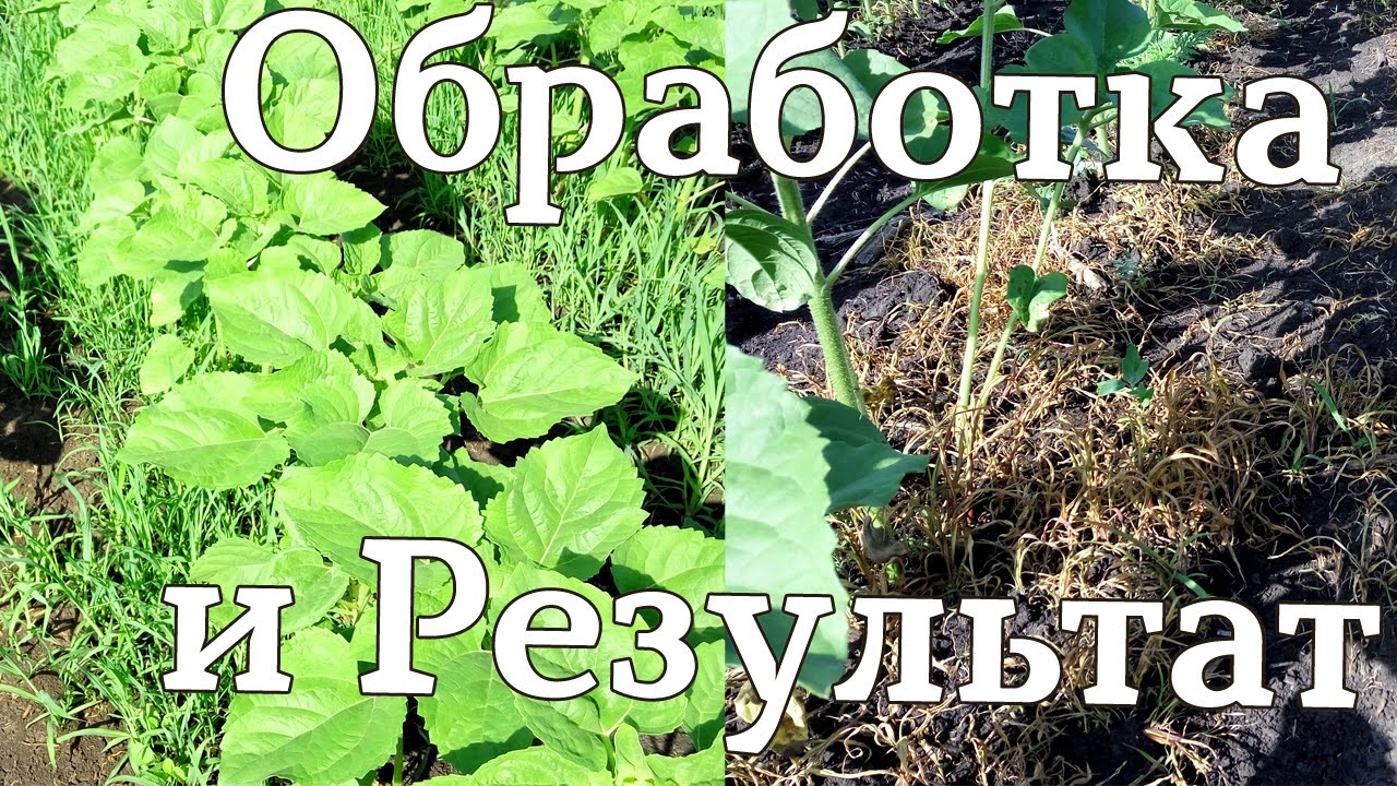 Гербицид Арамо 10 л