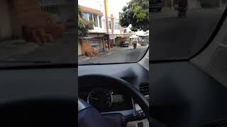 Download lagu story' wa nyetir mobil pagi hari mp3