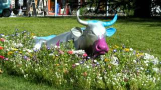 HARMONICA  &quot; UNE JOLIE FLEUR...&quot; Georges Brassens