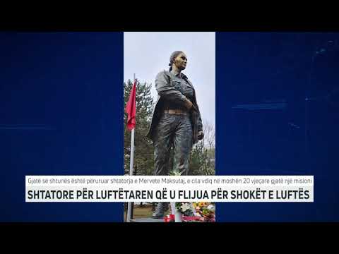 Shtatore për luftëtaren që u flijua për shokët e luftës | T7