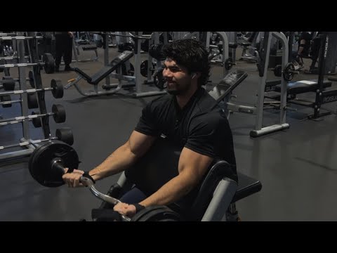 Winter Bulk Day 79: Arms // 215.7 