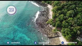 وصل الشعر || فتاوى عامة || د. سامي الواكد image