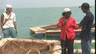 preview picture of video 'Aquaculture test in Senegal 2007-2009 DPCA / JICA. 2/3'