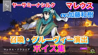 【ツイステ】SR ヤーサミーナシルク マレウス CV:加藤和樹 召喚・グルーヴィー演出・ボイス集 -TWISTED WONDERLAND　Malleus Japanese Voice Lines