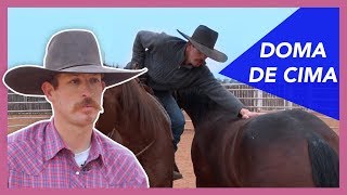 Miniatura do vídeo
