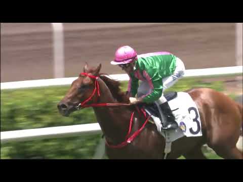 25/6/2022 (771) Bundle Of Charm - Z Purton