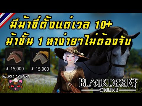 สิ่งที่จะกินเพื่อเพิ่มความแข็งแรง ชาเพิ่มความแรง