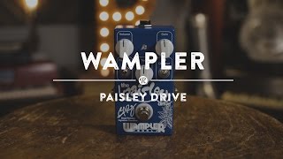 Video thumbnail for Wampler Paisley Drive | Reverb Demo Video by Reverb