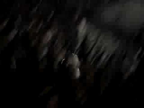 Figueirense 1 x 2 Botafogo 07/08/08 Segundo gol do botafogo