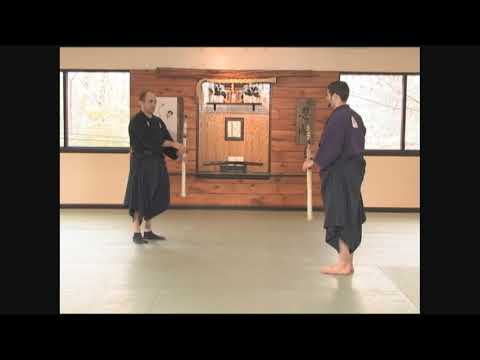 Kenjutsu: Shun Da 俊打 Sword fighting techniques of the Jinen Ryu Hi no Maki