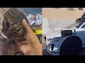 Driverless Waymo Car Kills Adored Neighborhood Cat Kitkat