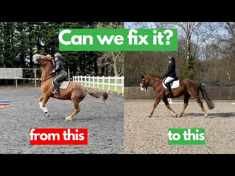 Mi caballo tiene problemas con esto, ¿podemos solucionarlo? Montar con Rhi