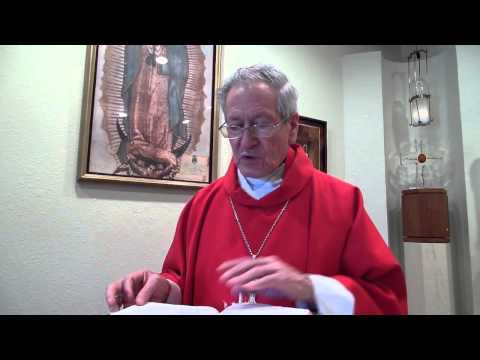 Homily 09/16/14