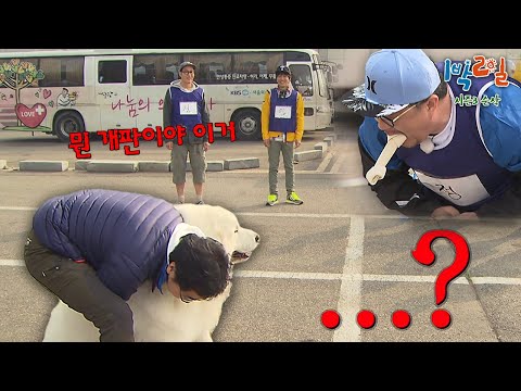 이것은 첫 녹화의 데자뷔... 호동이 형 대신 호야 붙잡는 유호진PD와 🐾 개껌 탐내는 데프콘 [1박2일 시즌3 순삭 #181] | KBS 140525 방송