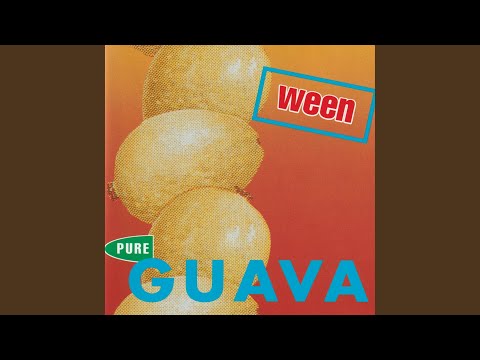 Poor Ship Destroyer - Ween